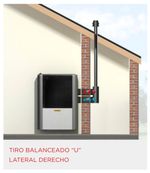 Articulo_10210033