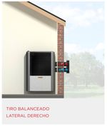 Articulo_10210045