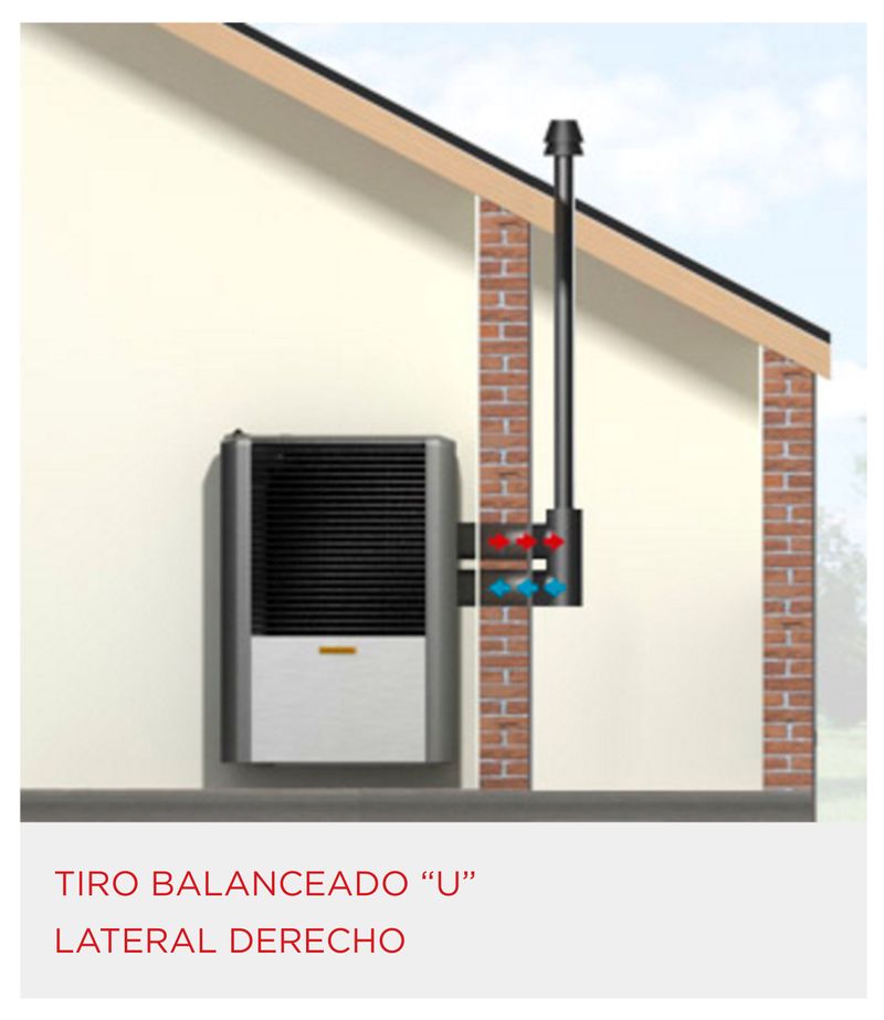 Articulo_10210046