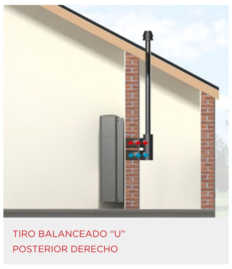 Articulo_10210031