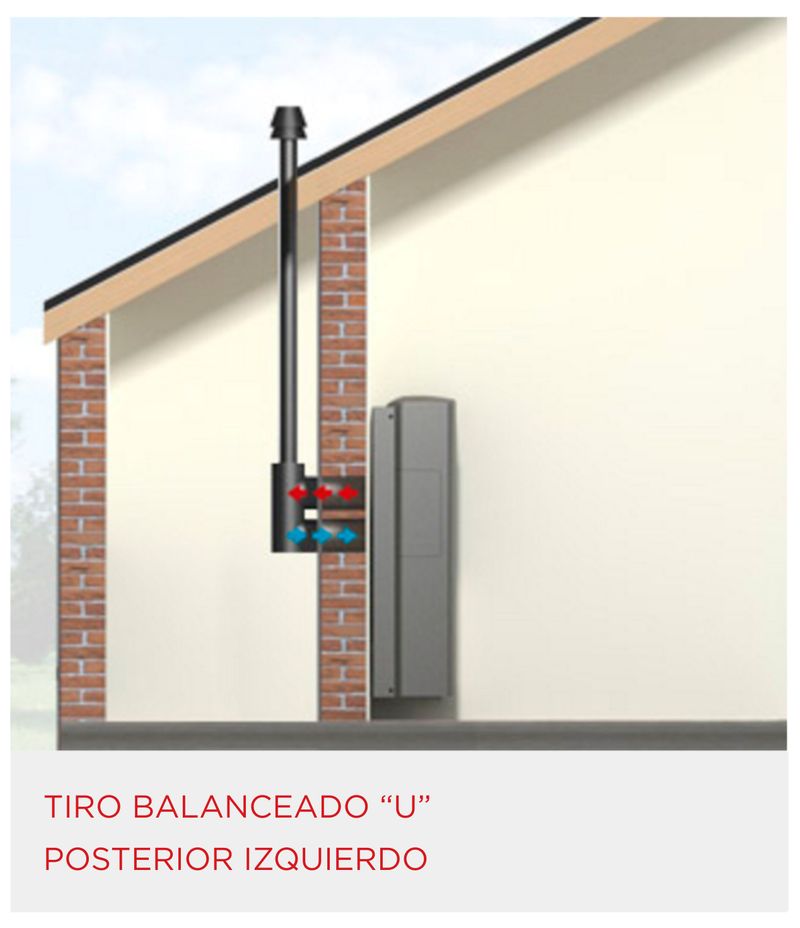 Articulo_10210043