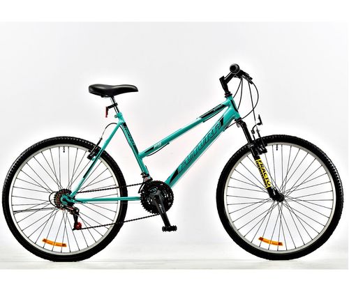 BICICLETA FUTURA R.29 MTB DAMA TECHNO C/ ACERO 21 V